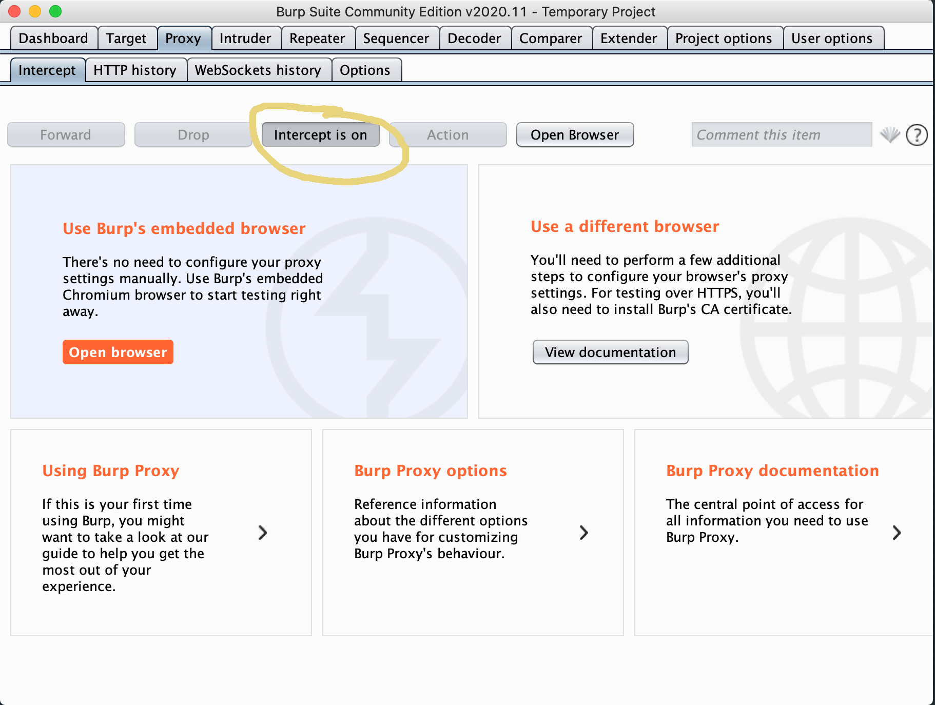 Security Bug Hunting with Proxies